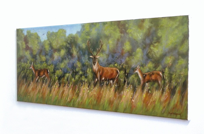 Deer Painting Hanging On The Wall