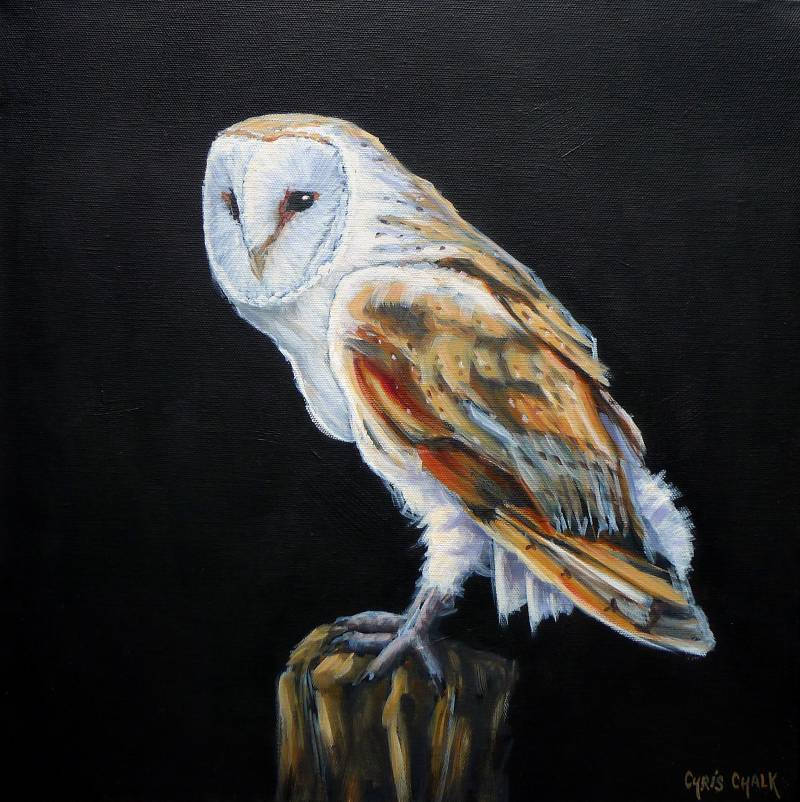 oil painting of a British barn owl sitting on a fence post