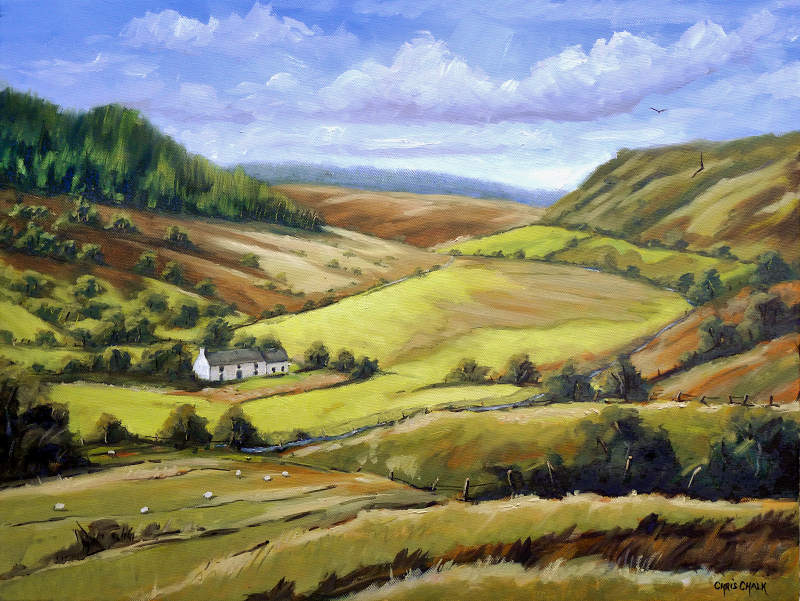 Cambrian mountain painting in mid wales