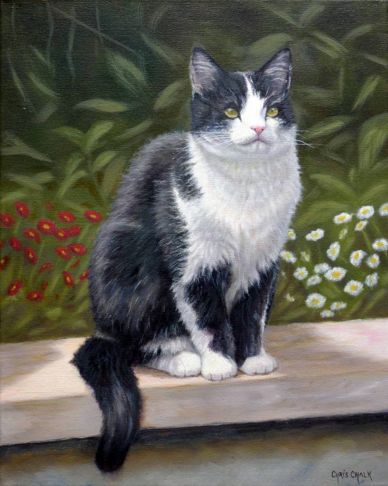Cat painting oils