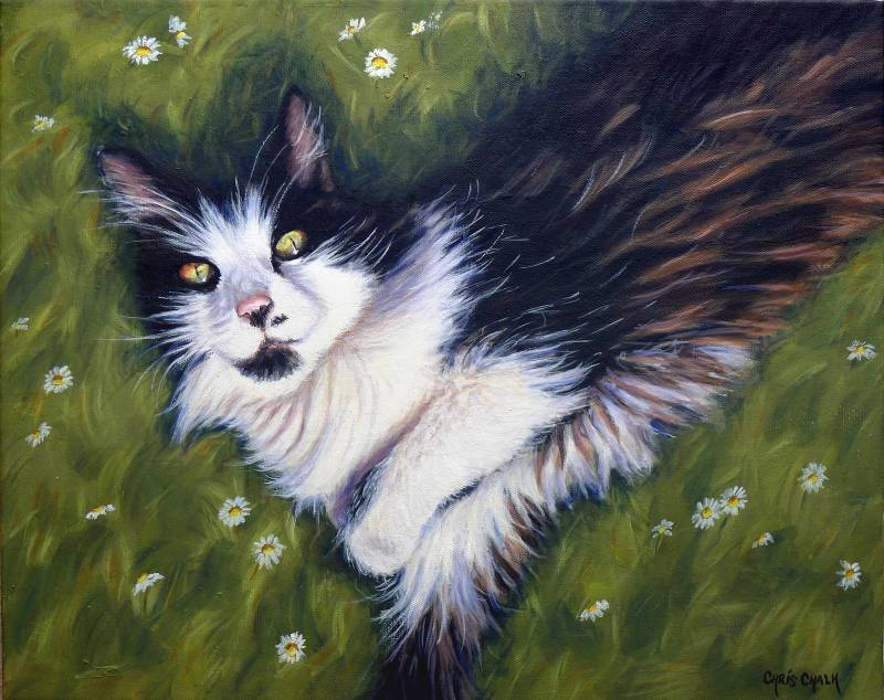 Cat painting in oils