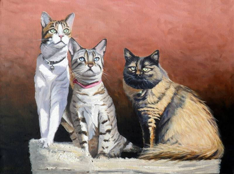 oil painting of three cats as a pet portrait