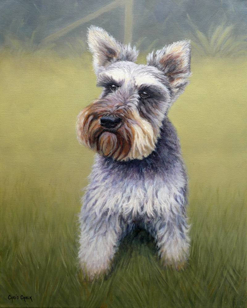 Schnawzer dog pet portrait painting
