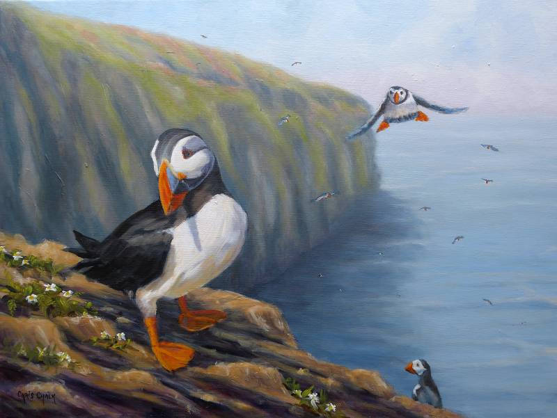 Puffin painting at The Wick, Skomer Island