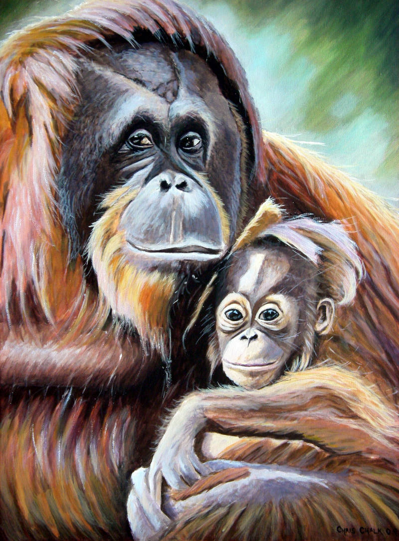 painting of a mother Orangutan holding a baby