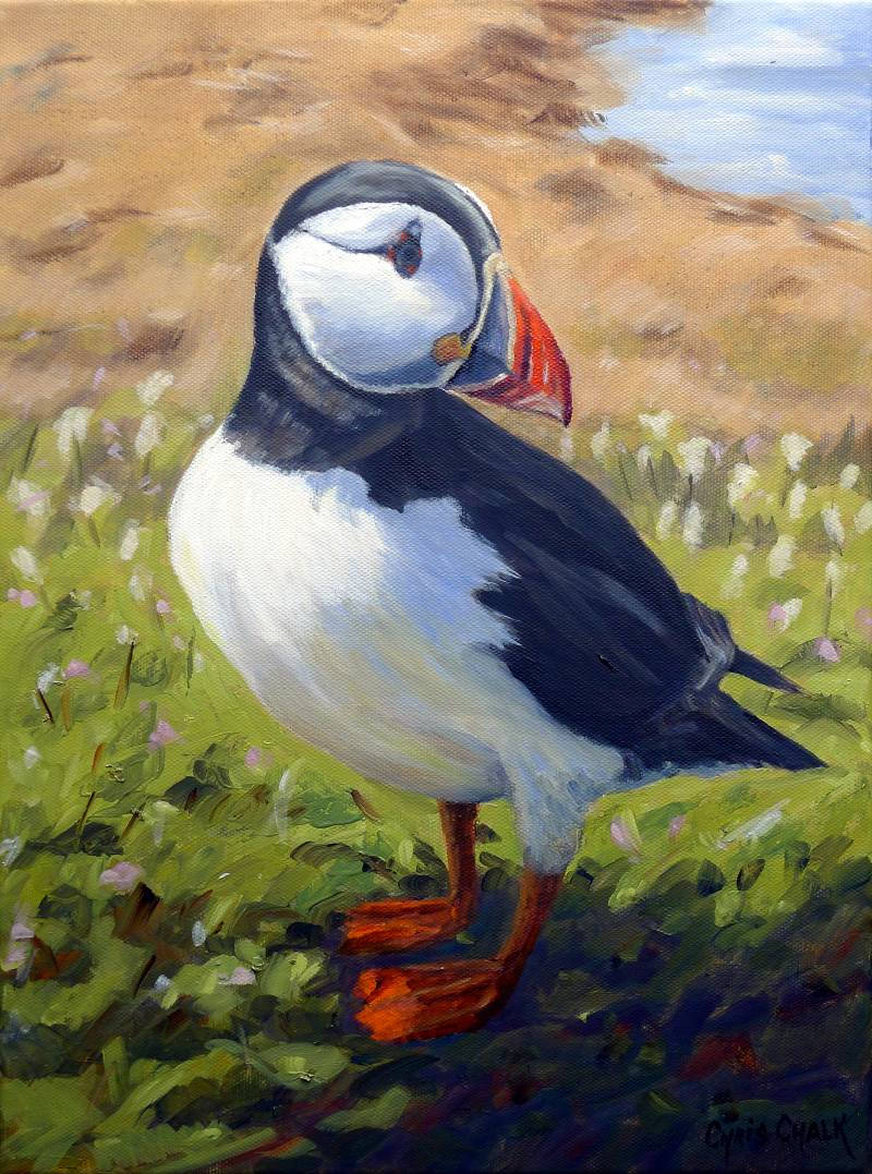 oil painting of a skomer island puffin