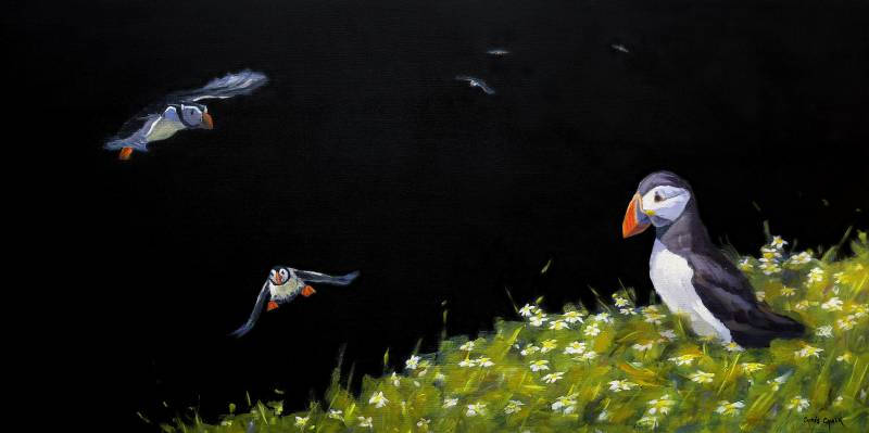 Puffins painting in oils