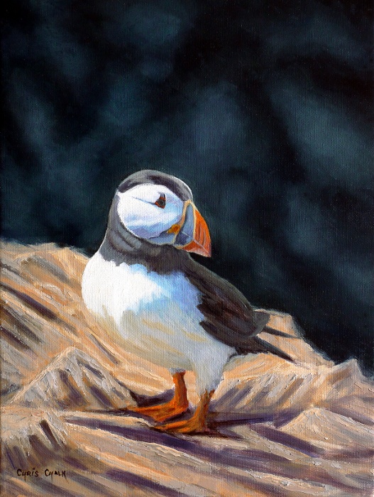 oil painting of a puffin standing on rocks
