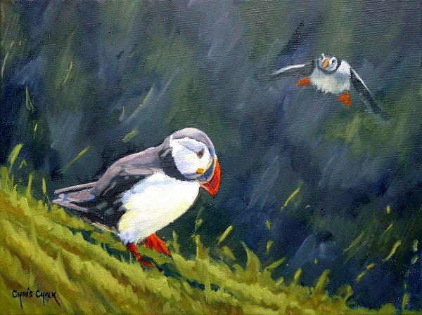oil painting of two puffins from Skomer island