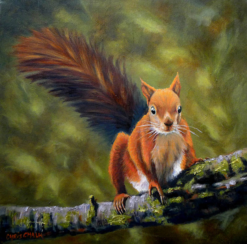 Recd squirrel painting