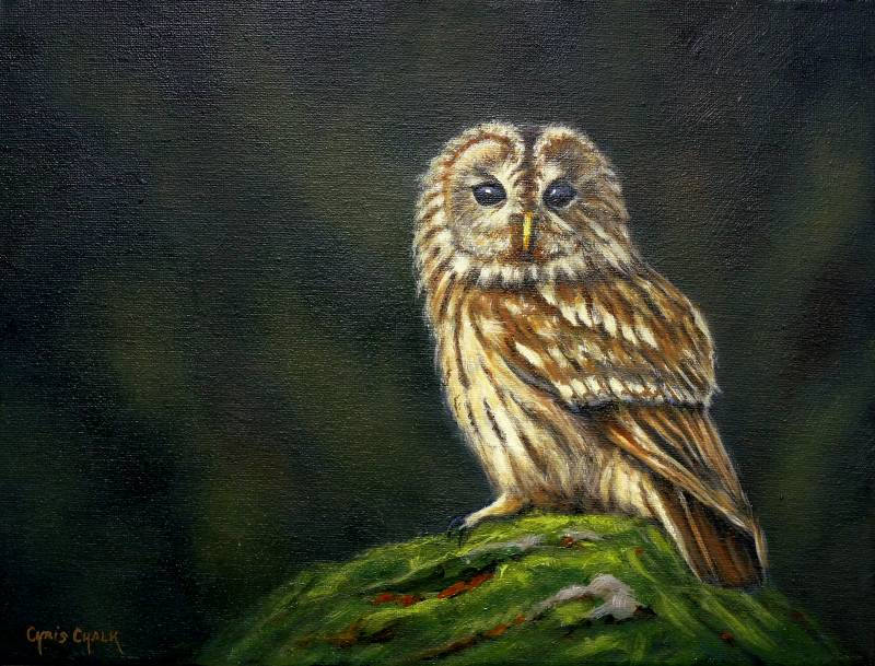 oil painting of a British Tawny owl