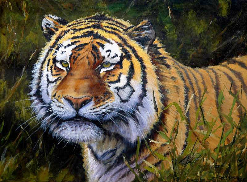 oil painting of a Siberian tiger