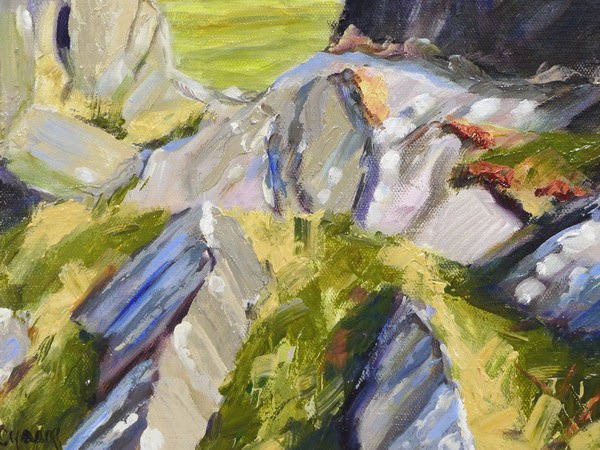 ancient landscape preseli close up one