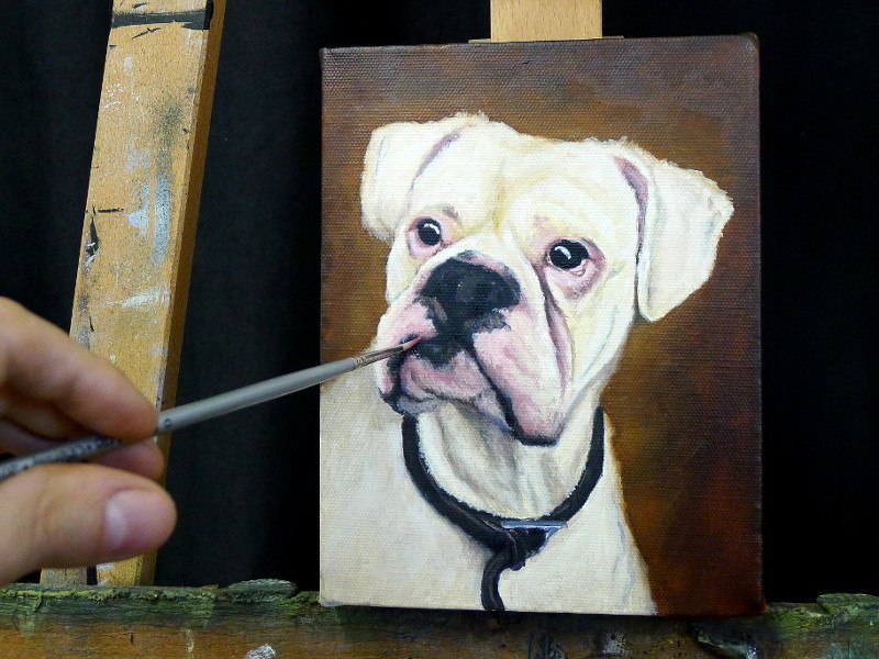 Boxer dog portrait painting on the easel