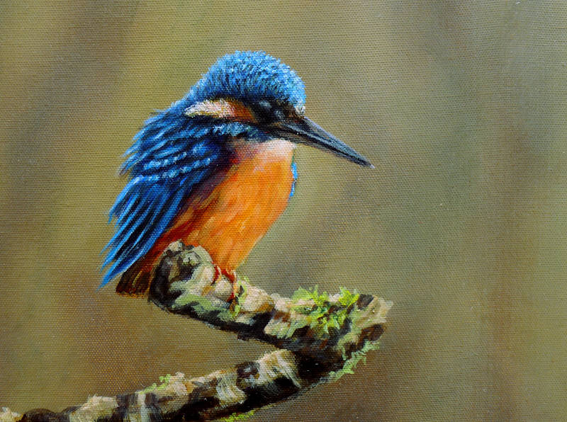 british kingfisher painting