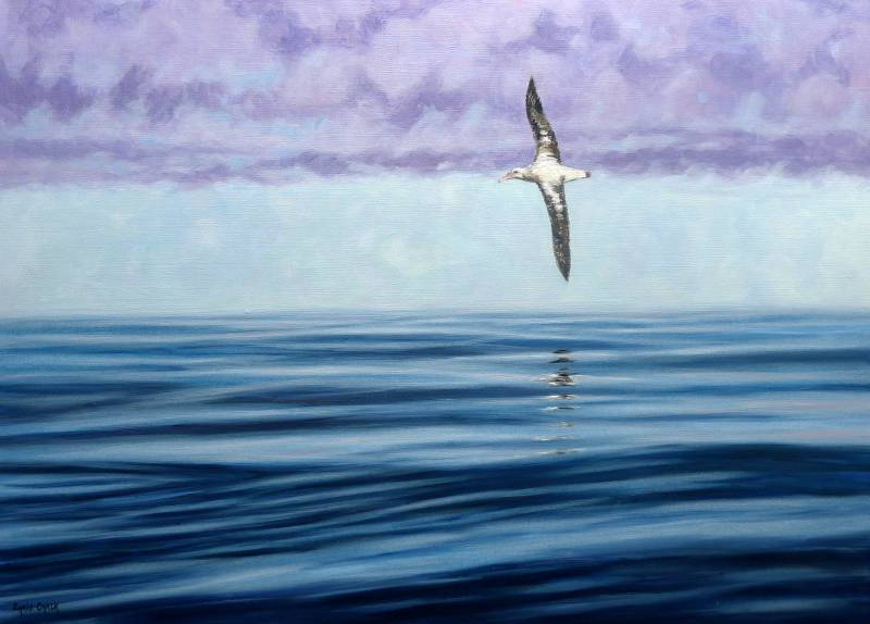 Flying Albatross painting soaring over the sea