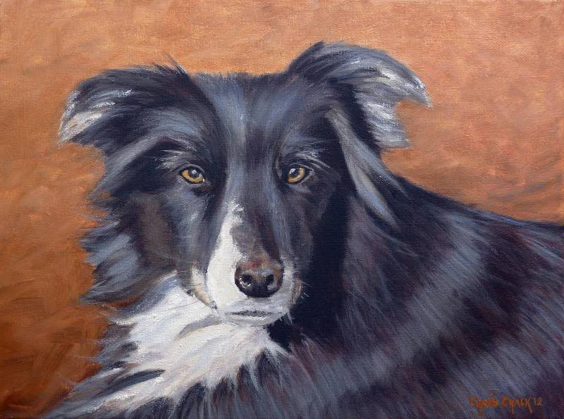oil pet portrait painting of a border collie