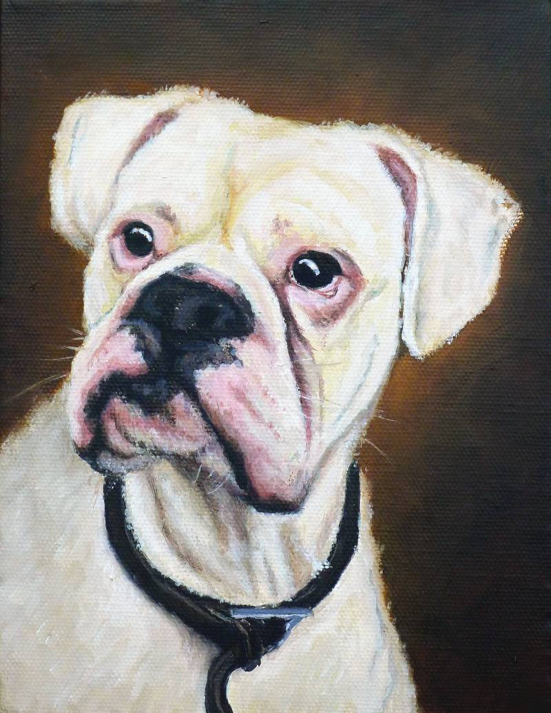 Boxer Dog pet painting in oils