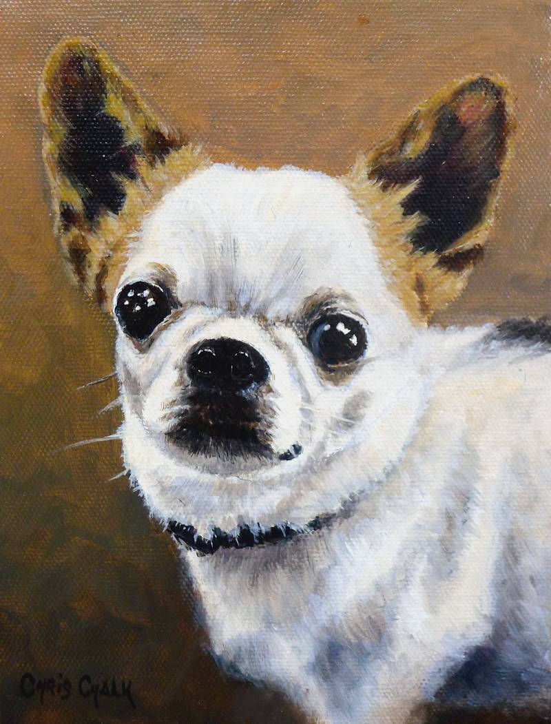 chihuahua painting