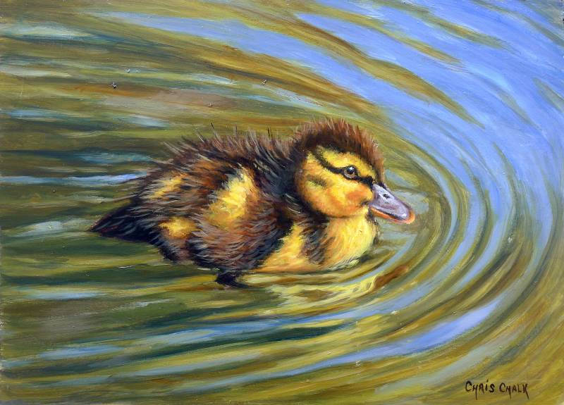 Duckling going for a swim painting