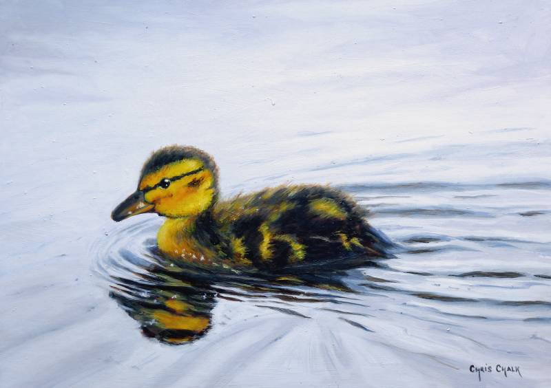 Duckling print