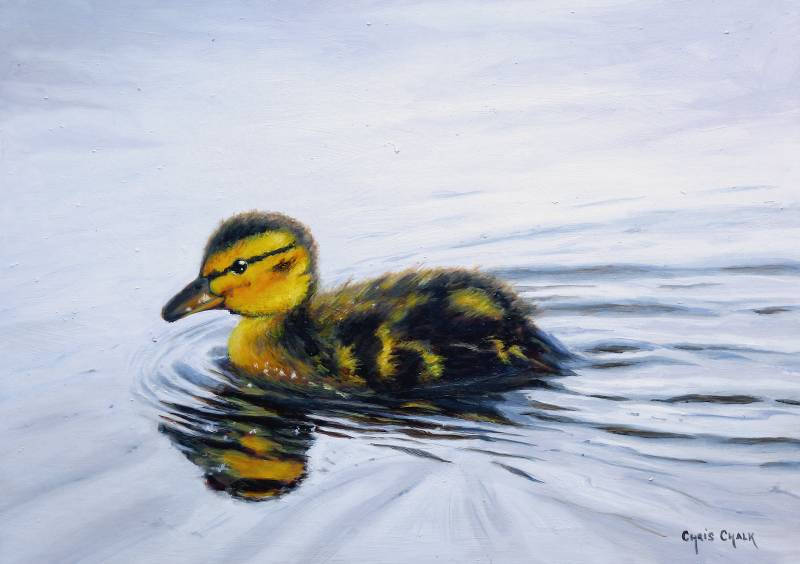 Duckling painting