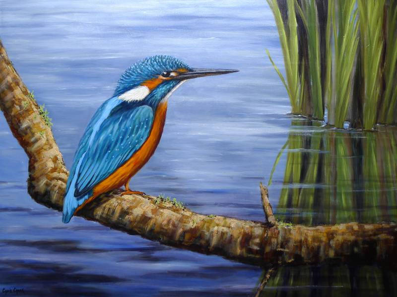 Kingfisher painting in oils