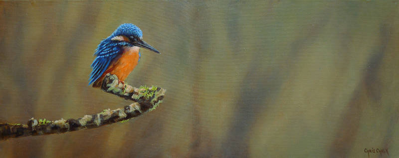 painting of a British Kingfisher