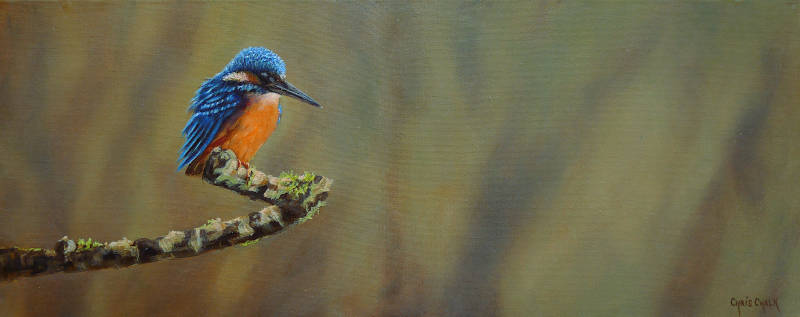 Kingfisher painting