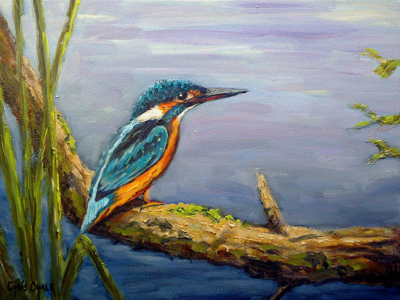 oil painting of a Kingfisher sitting on a branch