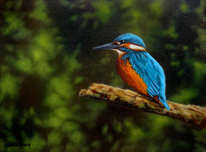 oil painting of a kingfisher