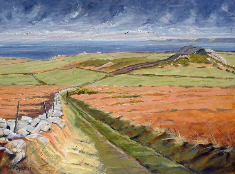 Painting of Garn Fawr in Pembrokeshire