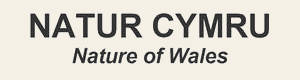 View Natur Cymru magazine artwork