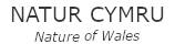 Natur Cymru Logo