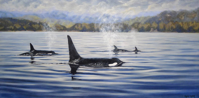 Orca Painting in oils