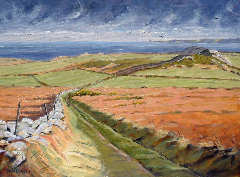 Garn Fawr view painting Pembrokeshire