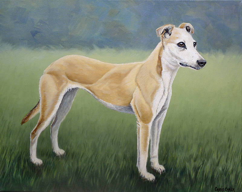 lurcher dog pet portrait oil painting