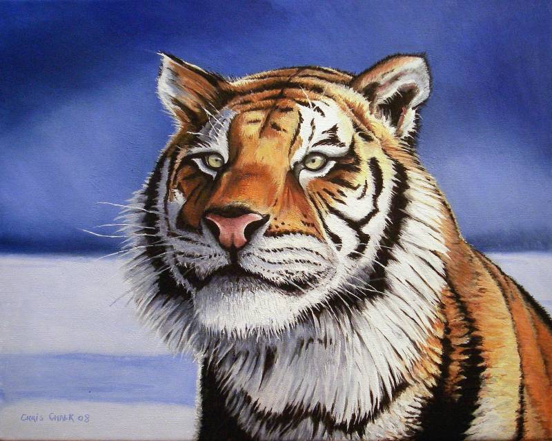 Siberian tiger painting