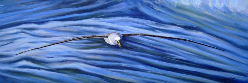Albatross painting