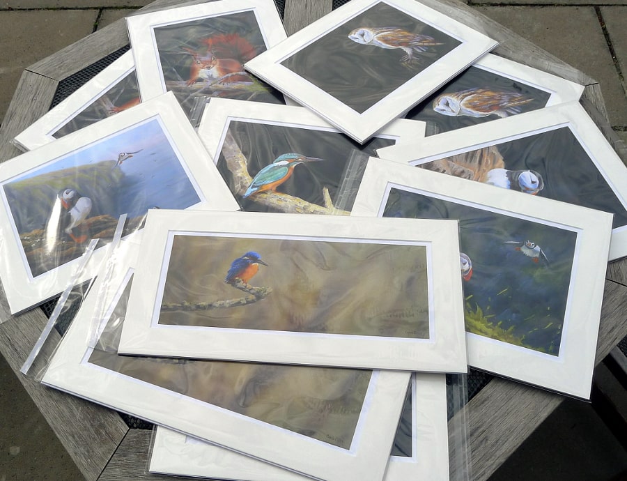 Welsh art prints of uk wildlife and scenes of west Wales