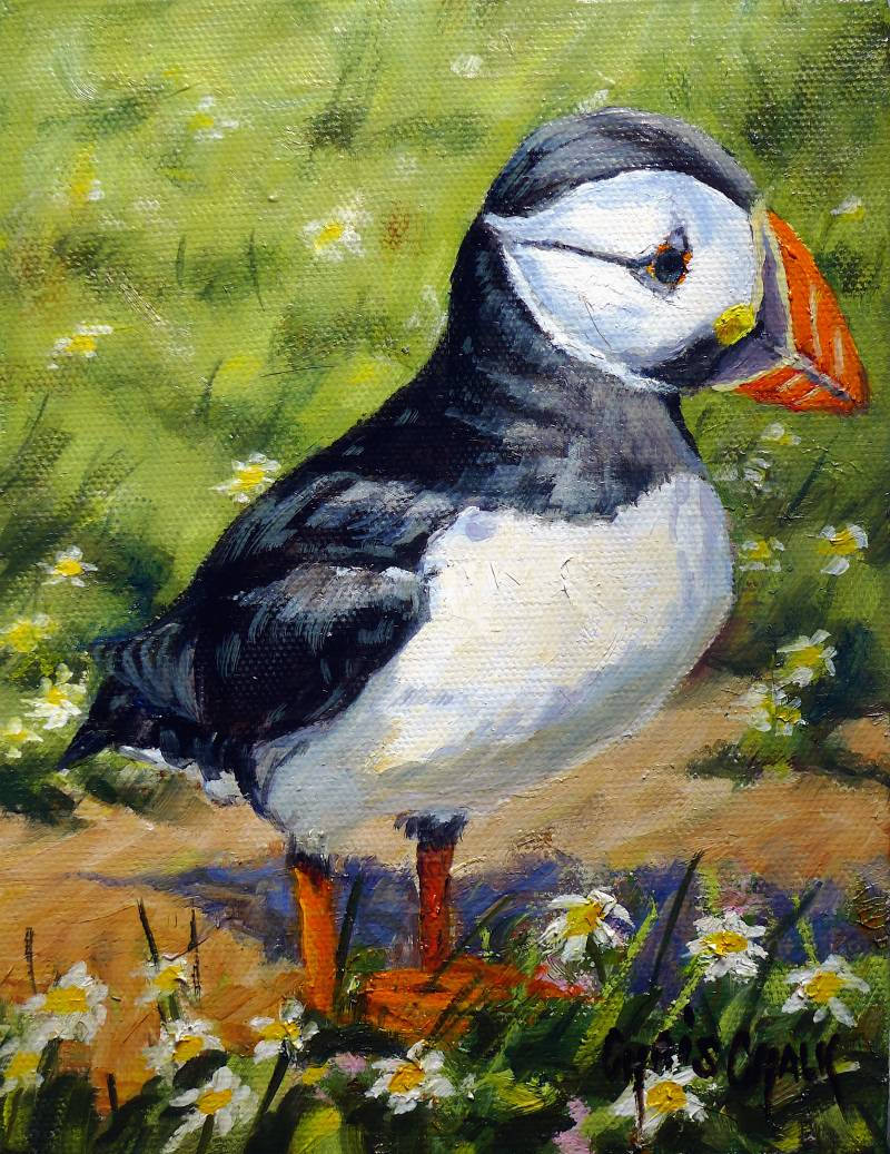 Painting of a Puffin