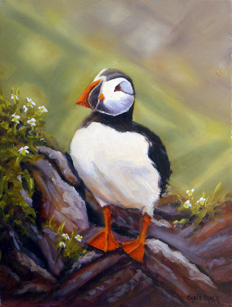 Puffin standing on a rock painting