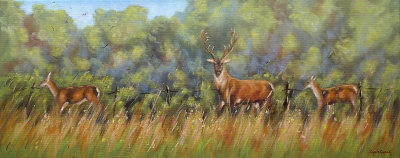 Herd of Red Deer painting