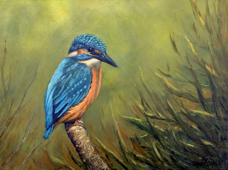 oil painting of a Kingfisher, kingfisher art