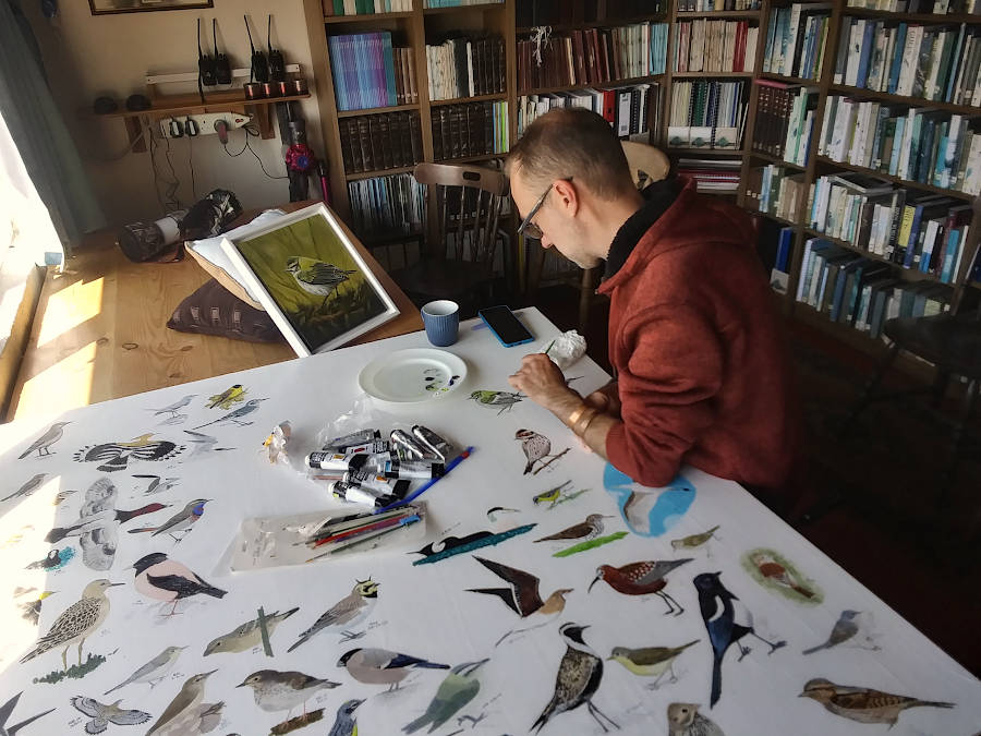 skokholm bird paintings Chris Chalk and Richard Dobbins bird observatory