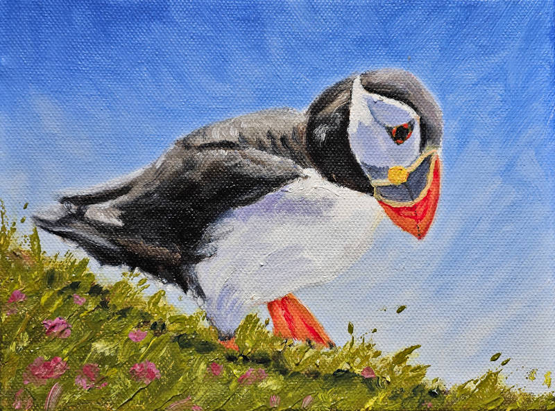 Original Puffin oil painting on canvas by Chris Chalk