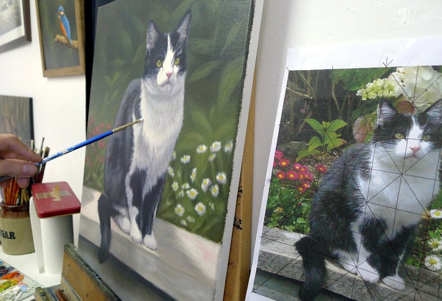 Cat painting in art studio in Wales