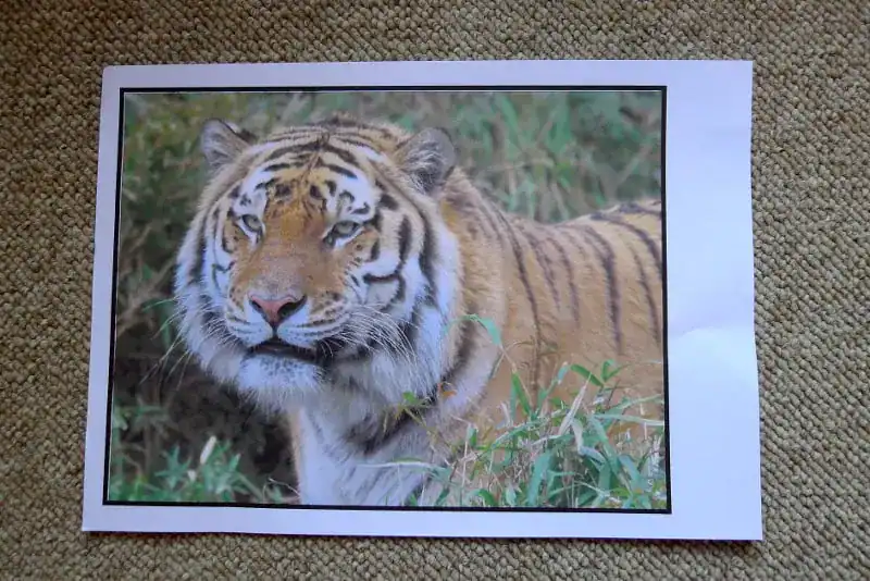 How To Transfer A Photograph To Your Canvas or Paper For Painting