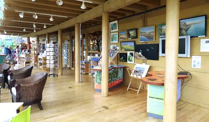 Welsh Wildlife Centre | Art For Sale