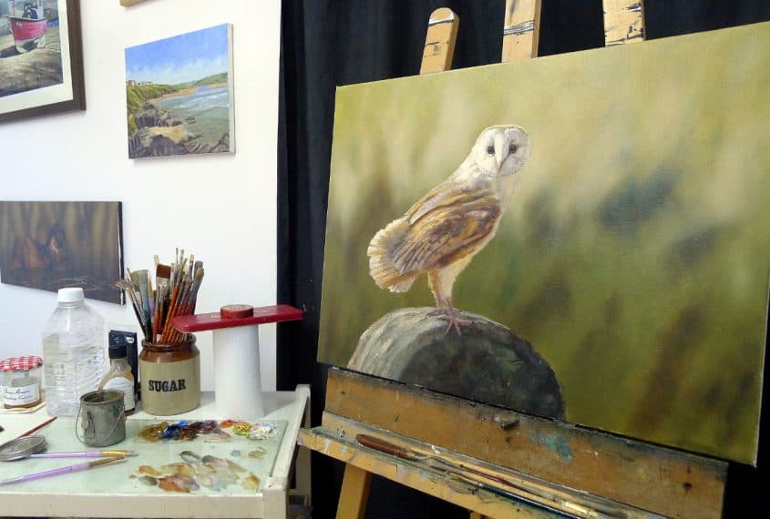 Barn Owl painting UK